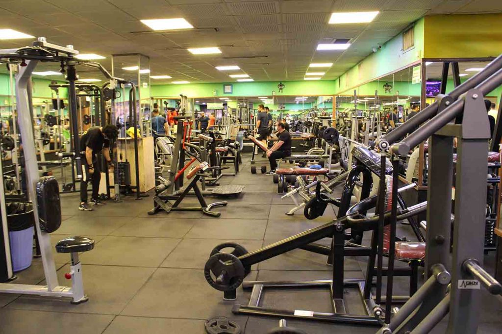 بهترین باشگاه بدنسازی کرمانشاه